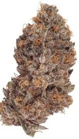 ENCORE SUNSET COOKIES 28G