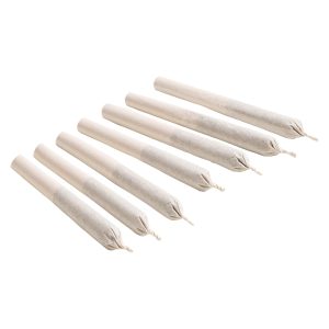 SUPER TOAST CITRUS ABDUCTION PR 7X0.5G