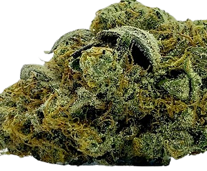 RITUAL GREENS BLACK MAMBA 7G