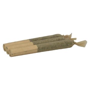 RITUAL STICKS SACRED SAGE PR 3X0.5G