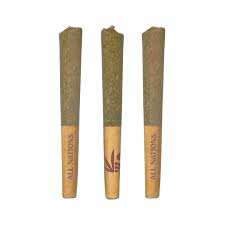 ALL NATIONS STO:LO HAZE PR 3X0.5G