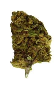 VERSUS BUBBA KUSH 28G