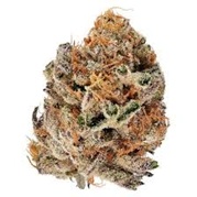 3SAINTS CRUMBLED LIME 14G