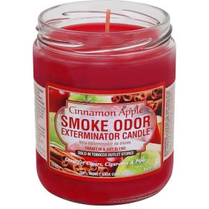 SMOKE ODOR CANDLE CINNAMON APPLE