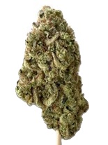 ALL NATIONS LEMON GELATO 3.5G