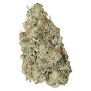 FREEDOM ROCKY MOUNTAIN RIDE 28G