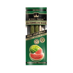 KING PALM WATERMELON W-2PCK MINI