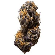 3RD COAST GENETICS TAGALONGZ 7G