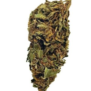 MIDS ANIMAL COOKIES SUNGROWN 28G