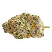 PURE SUNFARMS GORILLA MILK 7G