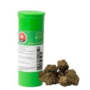 SPACE RACE HOUSTON'S PROBLEM 7G