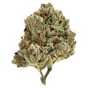 PURE SUNFARMS ALIEN PEBBLES 7G