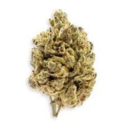 FREEDOM ROCKY MOUNTAIN RIDE 14G