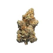 HERBA FARMS ORANGE DRAAAANK 7G