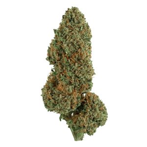 SNICKLEFRITZ CEMENT SHOES 14G