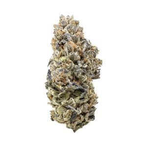 CROOKED DORY DURBAN POISON 28G