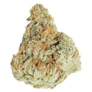 QWEST MORNING SUN 14G