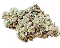 FREEDOM SECRET FORMULA 14G