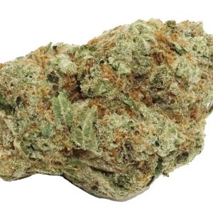 FREEDOM PURPLE THAI 14G