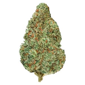 BACK FORTY CHEMZILLA 28G