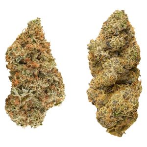 REDECAN TASTER SERIES VARIETY PACK 28G