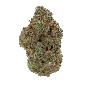 CROOKED DORY NORTHERN LIGHTS #5 7G