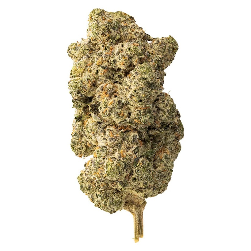 THE LOUD PLUG LEMON GELATO 7G