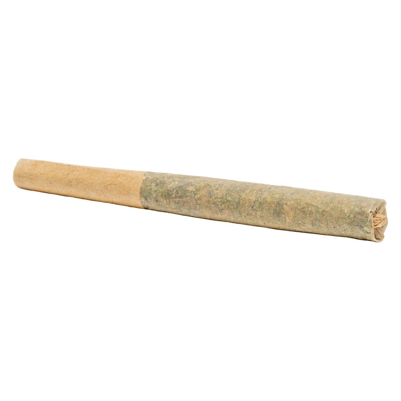 DIVVY ROLL UP INDICA PR 1G